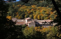 Die Klostergemeinschaft von Camaldoli