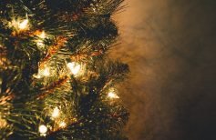 Wie man Lichter am Weihnachtsbaum anbringt