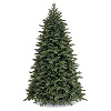 gruner weihnachtsbaum