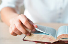 Die Geschichte der Dogmen der katholischen Kirche