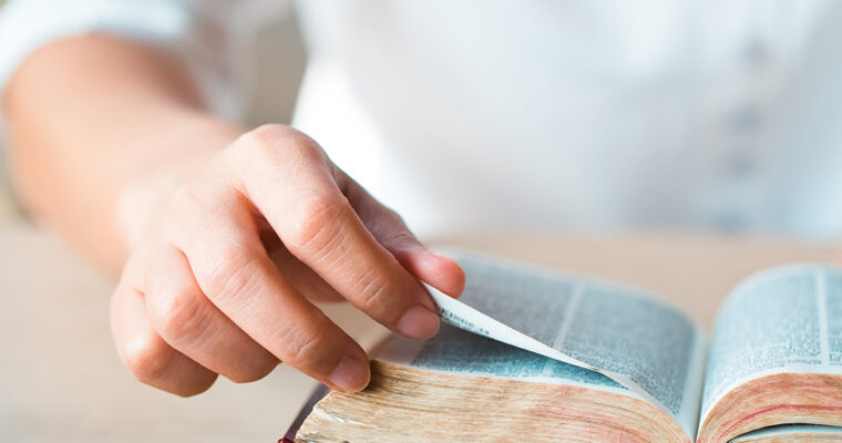 Die Geschichte der Dogmen der katholischen Kirche