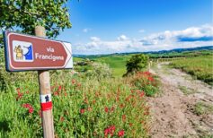 Via Francigena: eine der ältesten Pilgerrouten Via Francigena