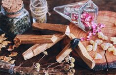 Palo Santo Eigenschaften und Vorteile seines wertvollen Holzes