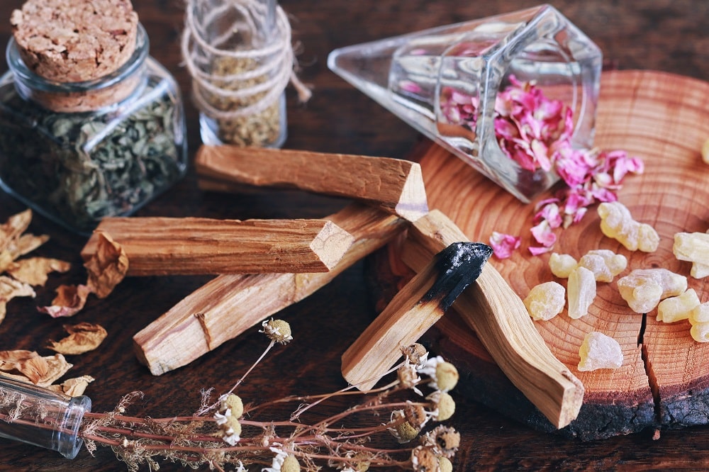 Palo Santo: Eigenschaften und Vorteile seines wertvollen Holzes
